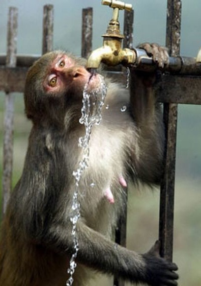 Sensaciones en boca del agua