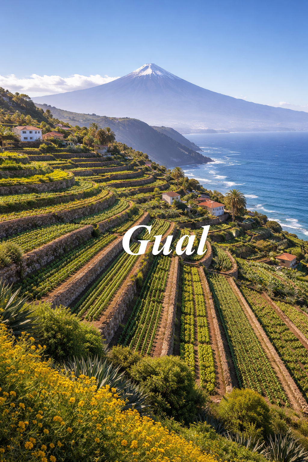 Bancales Gual Tenerife volcán Teide coronando viñas eternas