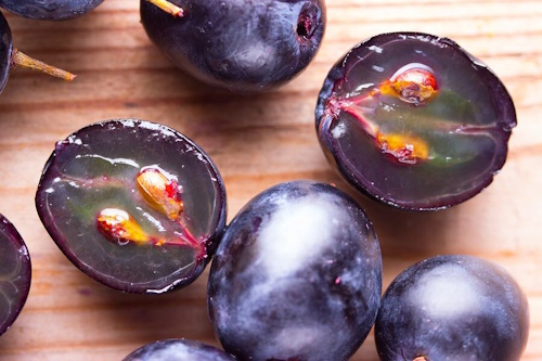 Detalle de la uva Garnacha Tintorera