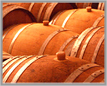 Barricas de roble francés fermentando Chardonnay borgoñón