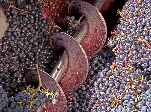 Despalilladora de uvas