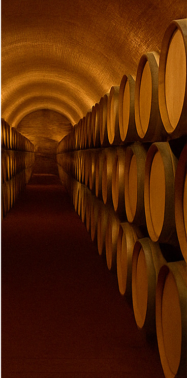 Bodega con vino almacenado