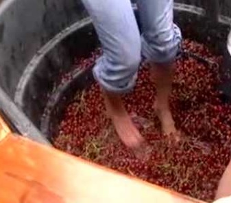 Estrujado artesanal con pies