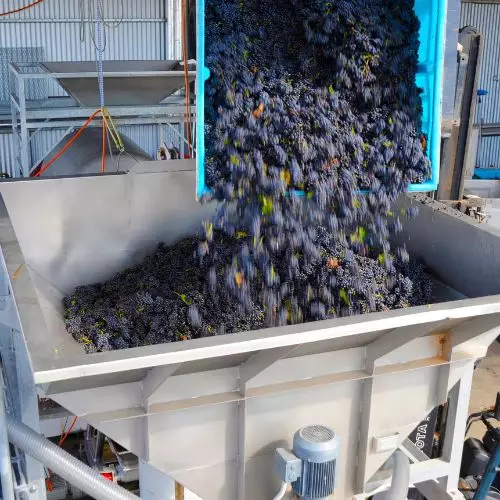 Estrujadora industrial