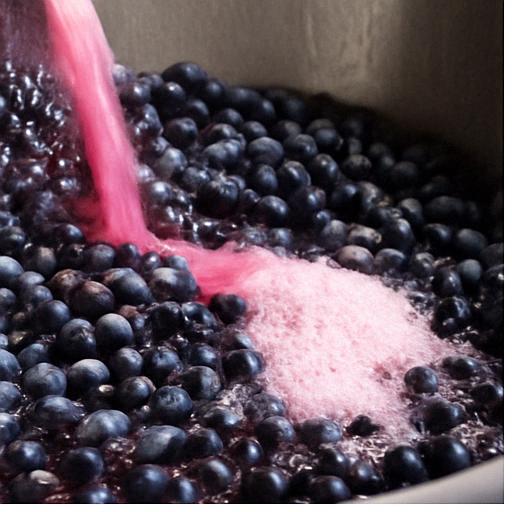 Fermentación activa: burbujeo del mosto