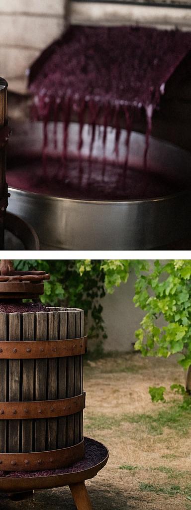 Mosto flor recolectado