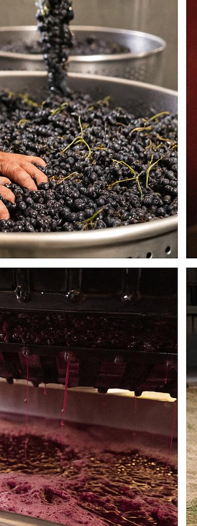 Prensado tradicional vertical