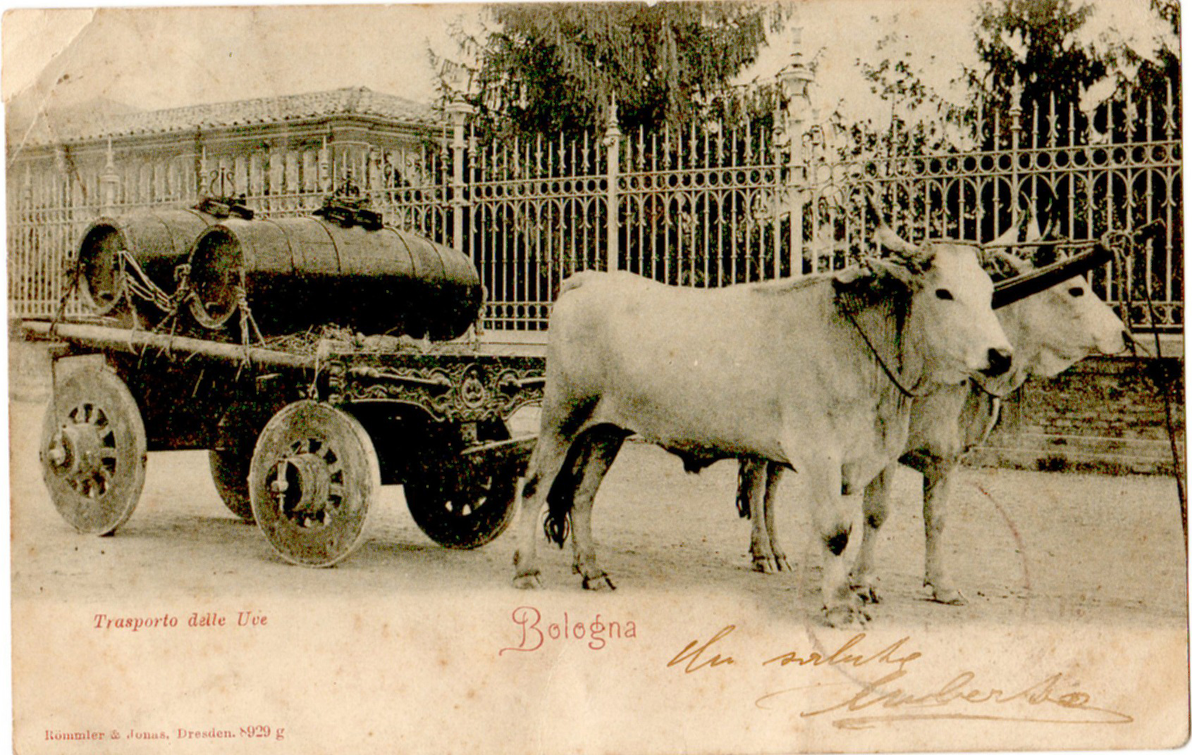 Transporte de uvas