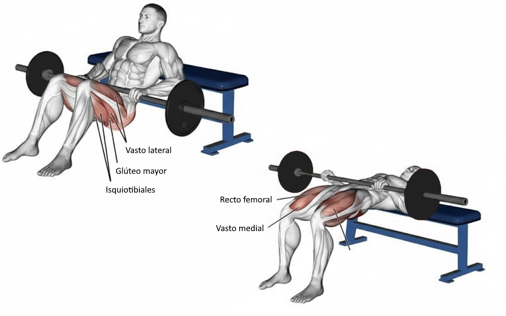 Secuencia técnica del hip thrust: posición inicial, empuje y bloqueo arriba