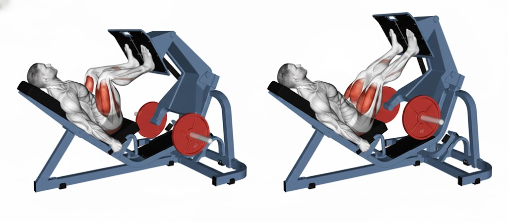 Secuencia técnica de la prensa de piernas en máquina