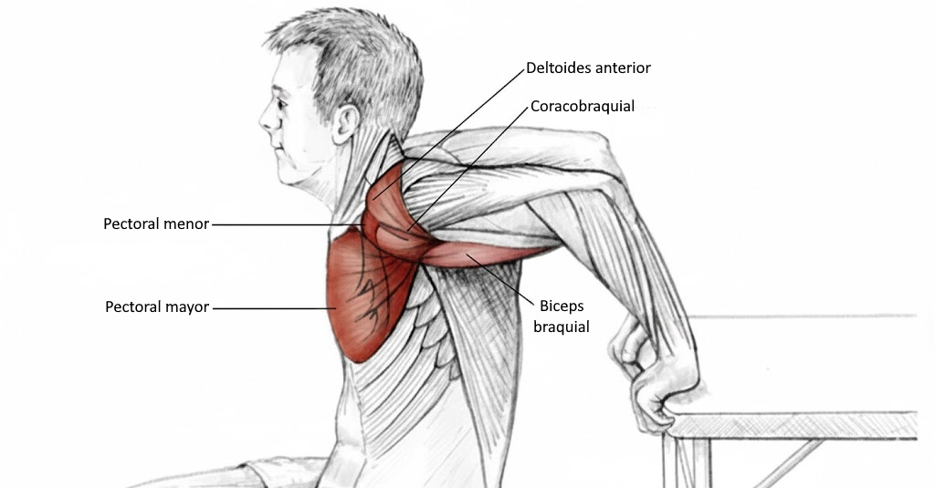 Persona realizando estiramiento de pectorales en marco de puerta