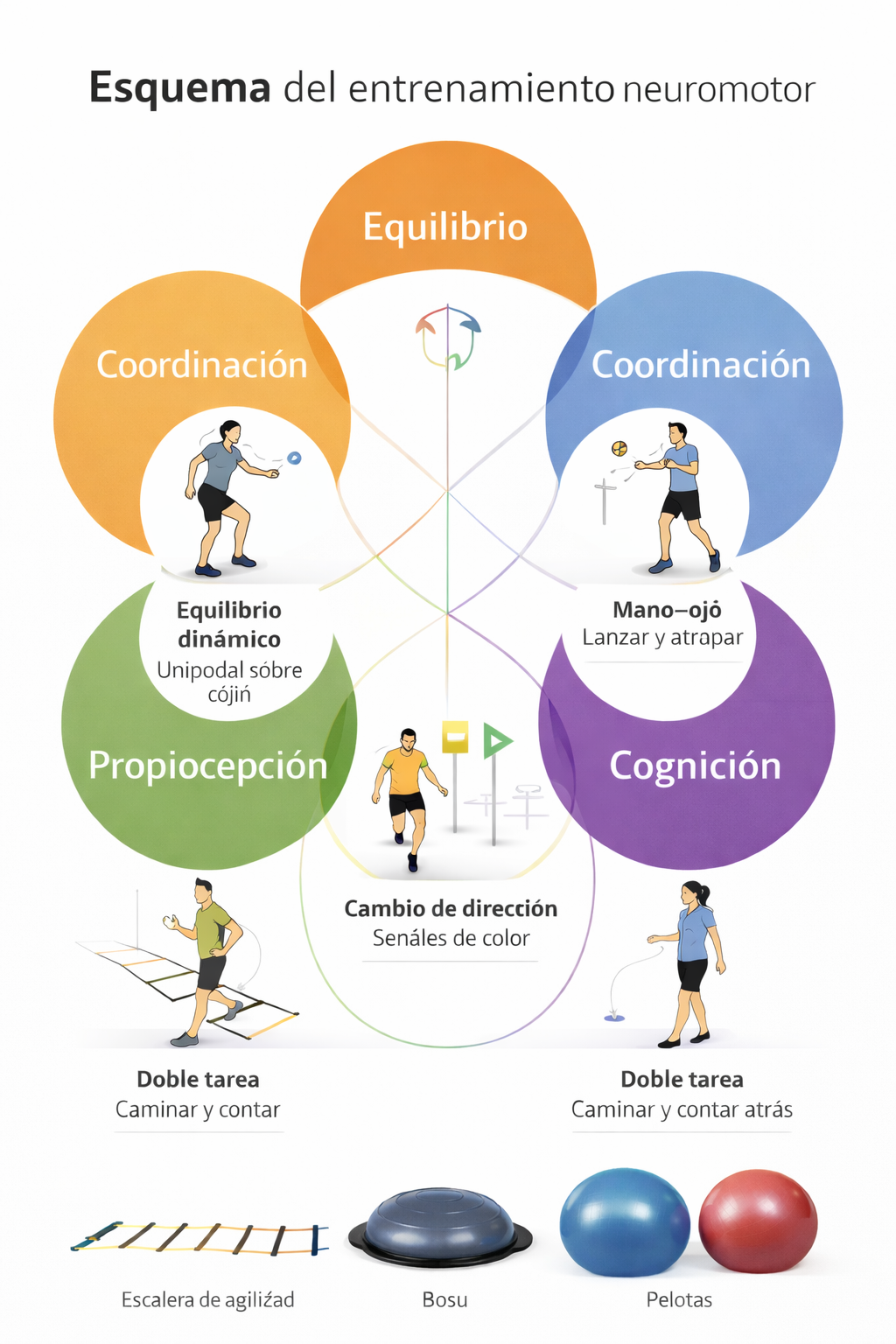 Esquema del entrenamiento neuromotor: equilibrio, coordinación, propiocepción, reacción y cognición