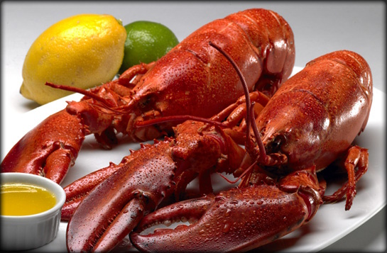 Ingredientes para arroz con bogavante