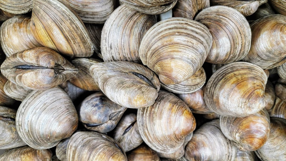 Ingredientes de arroz meloso