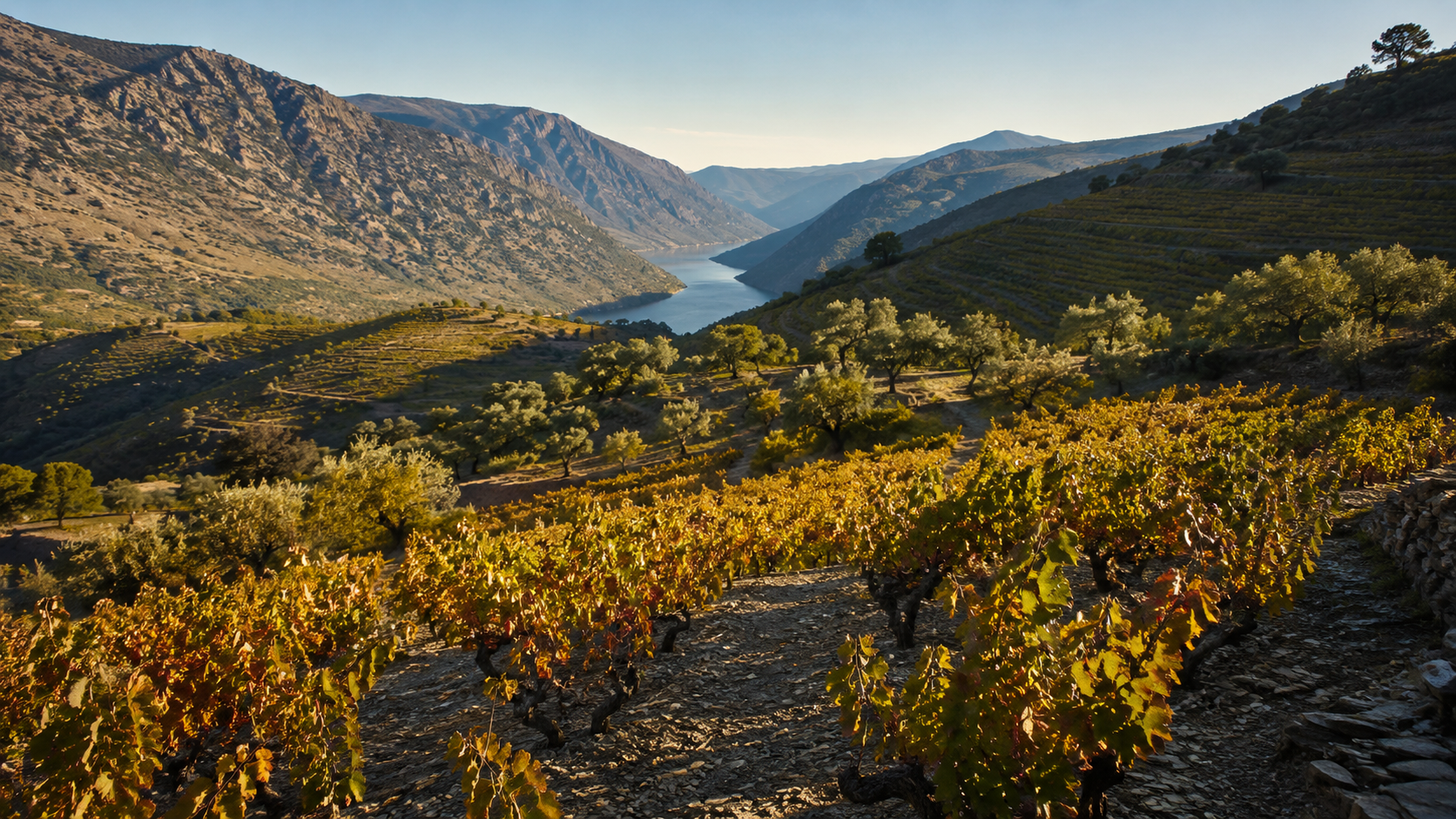 Viñedos de zonas occidentales de Castilla y León con paisaje de sierra y río