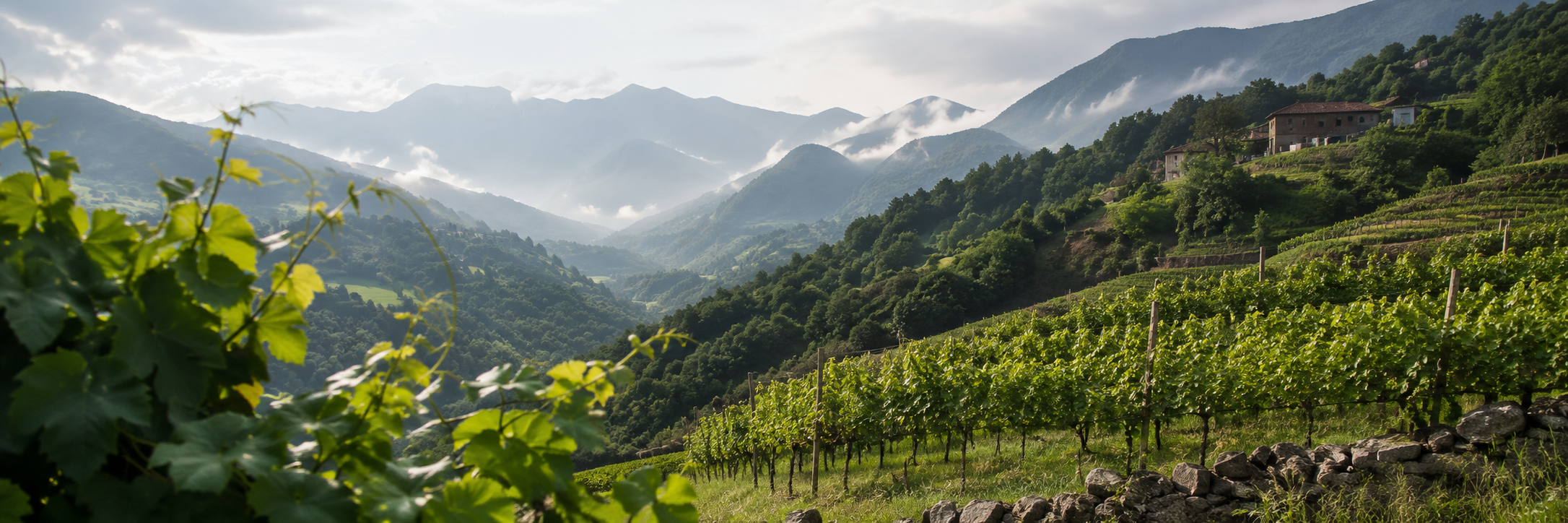 Viñedos de montaña del suroccidente de Asturias con laderas, valles y copa de vino de Cangas
