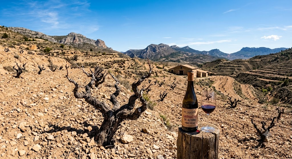 Viñedos de Garnacha de altura en la D.O. Calatayud con paisaje seco y montañoso de Aragón