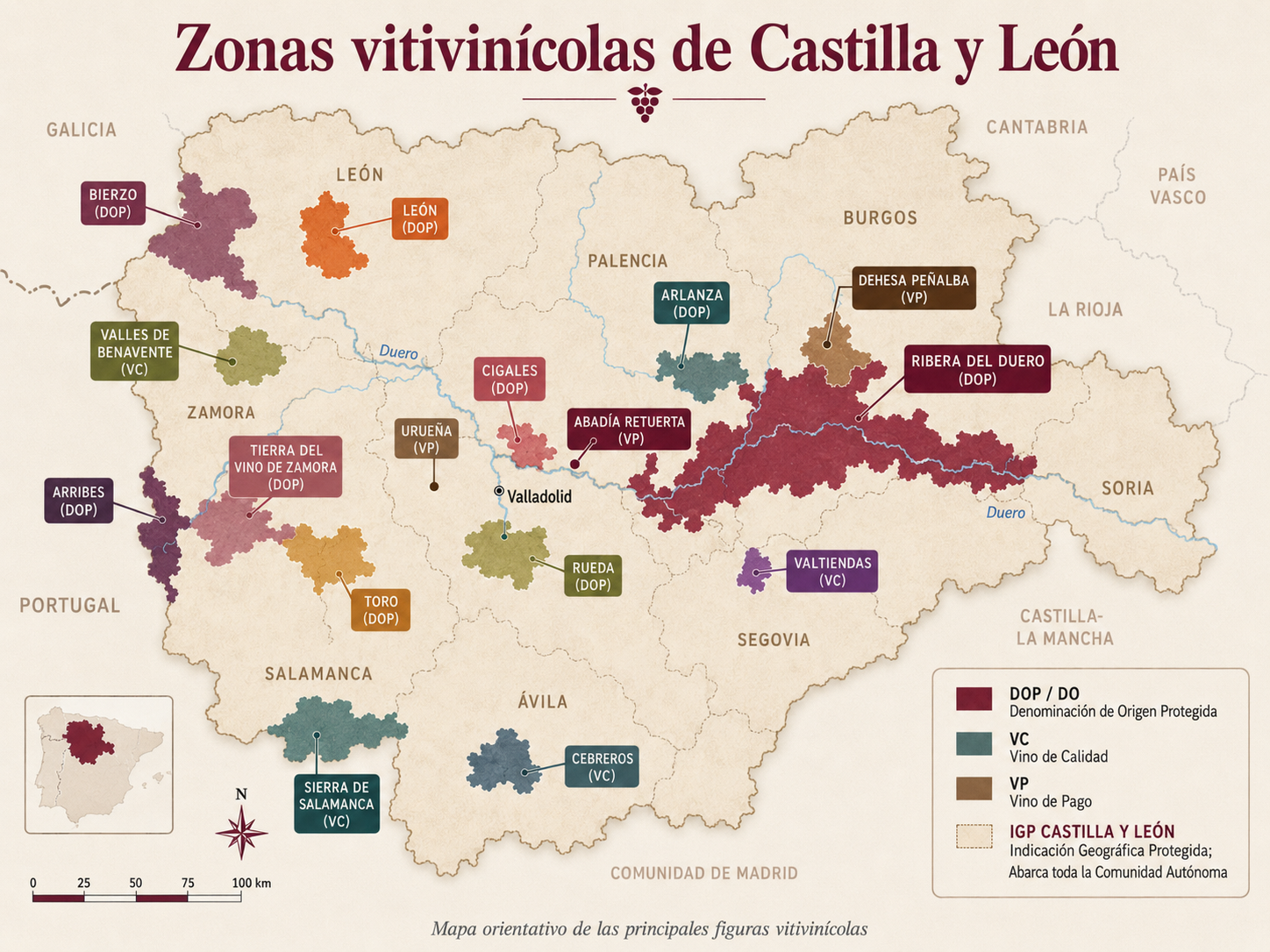 Mapa de las zonas de vino de Castilla y León con Ribera del Duero, Rueda, Toro, Bierzo, Cigales, León, Arribes y otras figuras